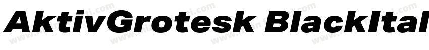 AktivGrotesk BlackItalic字体转换